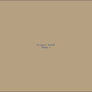 Example Product 1918