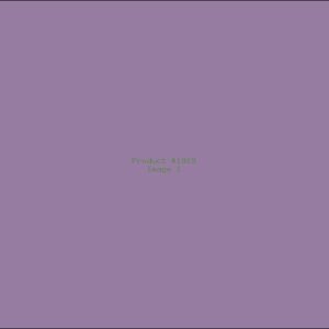 Example Product 1919
