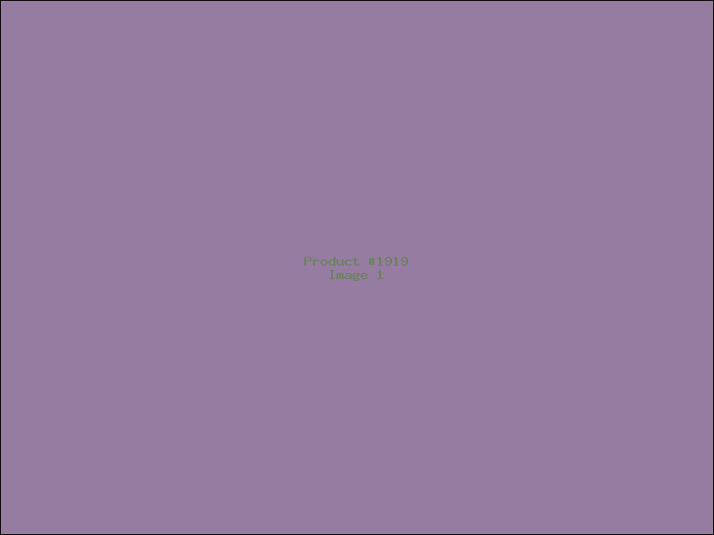 Example Product 1919