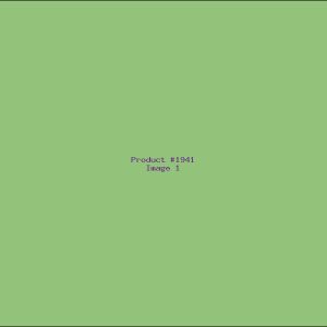 Example Product 1941