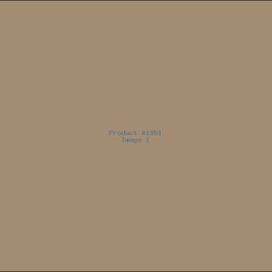 Example Product 1951