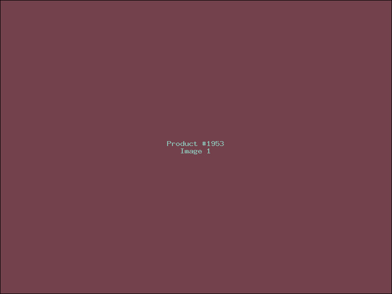 Example Product 1953