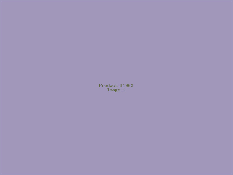 Example Product 1960