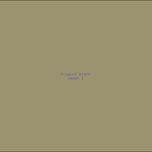 Example Product 1970