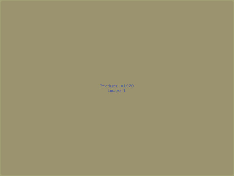 Example Product 1970
