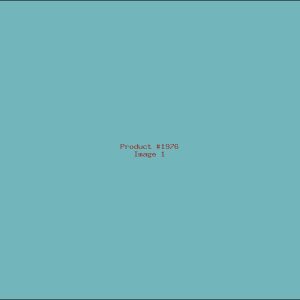 Example Product 1976