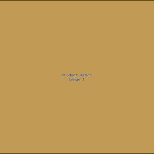 Example Product 1977