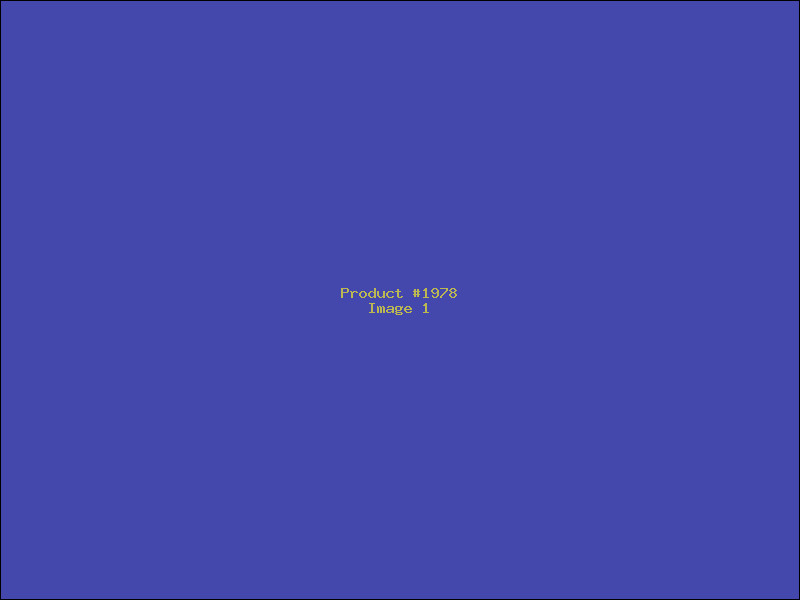 Example Product 1978
