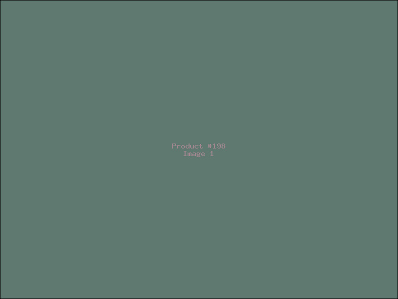Example Product 198