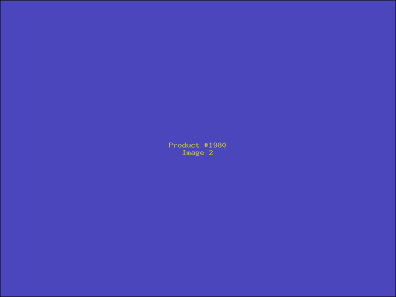 Example Product 1980 - Image 2