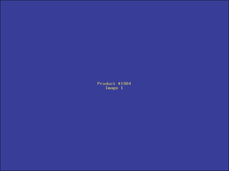 Example Product 1984