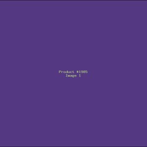 Example Product 1985