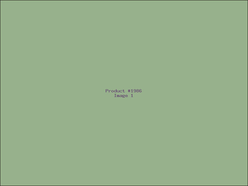 Example Product 1986