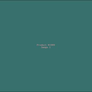 Example Product 1989