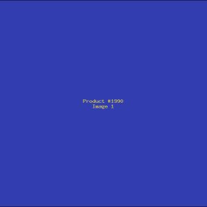 Example Product 1990