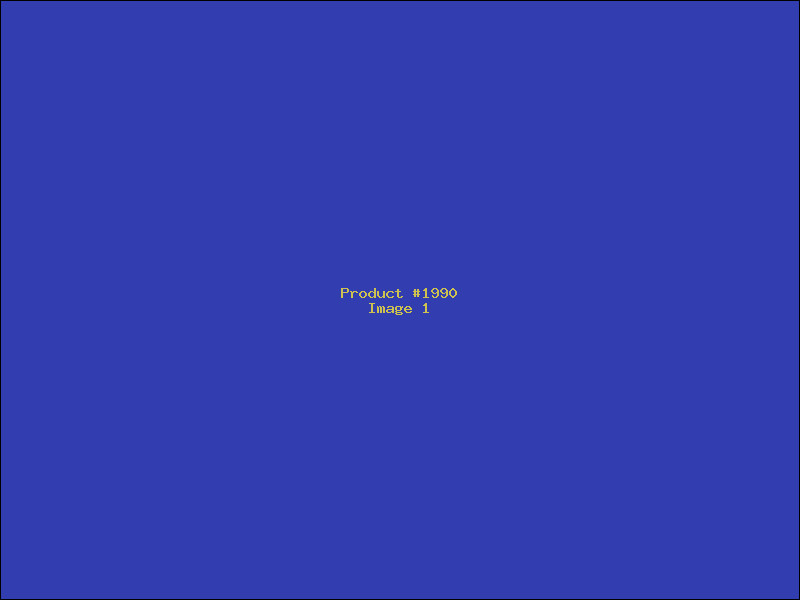 Example Product 1990