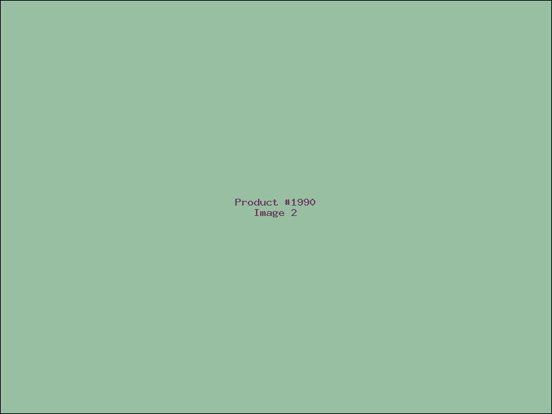 Example Product 1990 - Image 2
