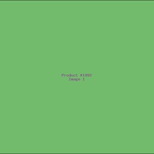 Example Product 1992