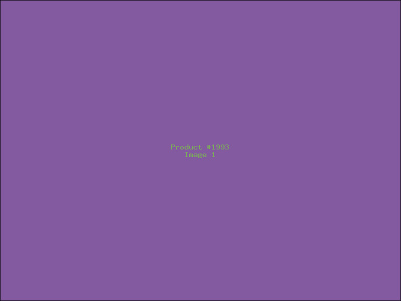 Example Product 1993