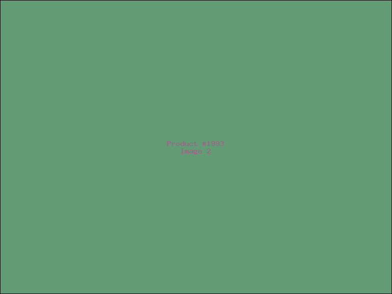 Example Product 1993 - Image 2
