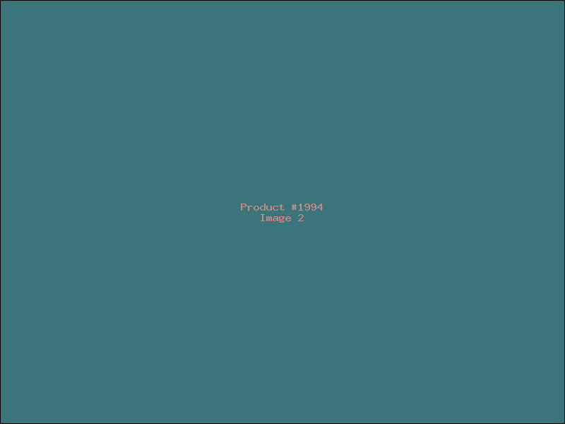 Example Product 1994 - Image 2