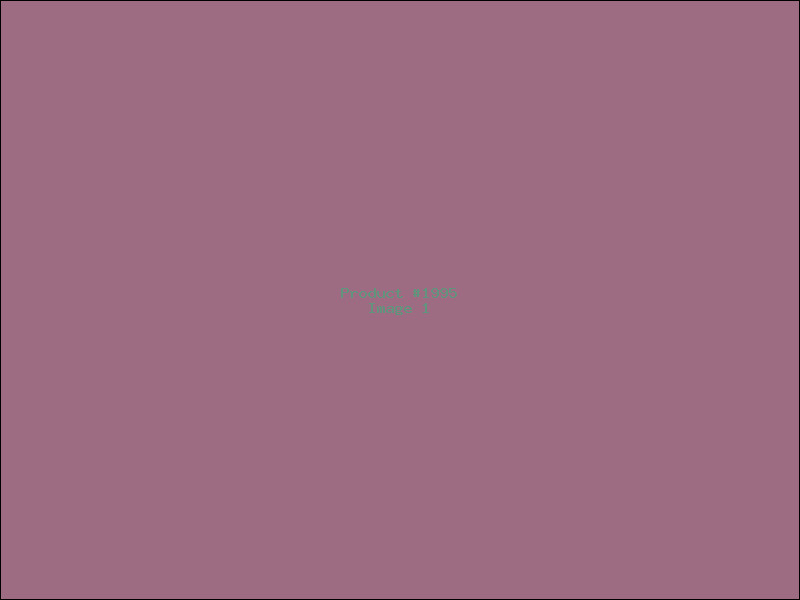 Example Product 1995