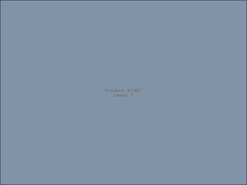 Example Product 1997 - Image 2