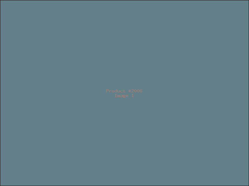 Example Product 2006