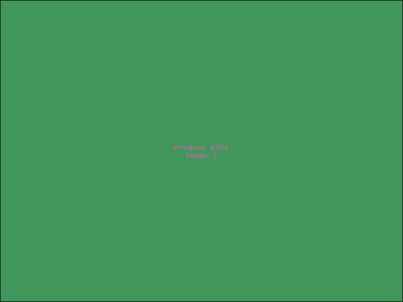 Example Product 201 - Image 2