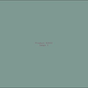 Example Product 2022
