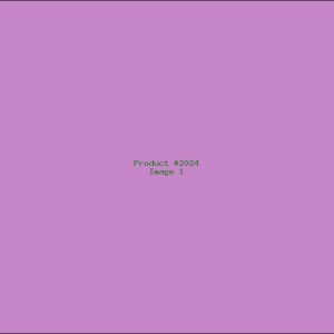 Example Product 2024