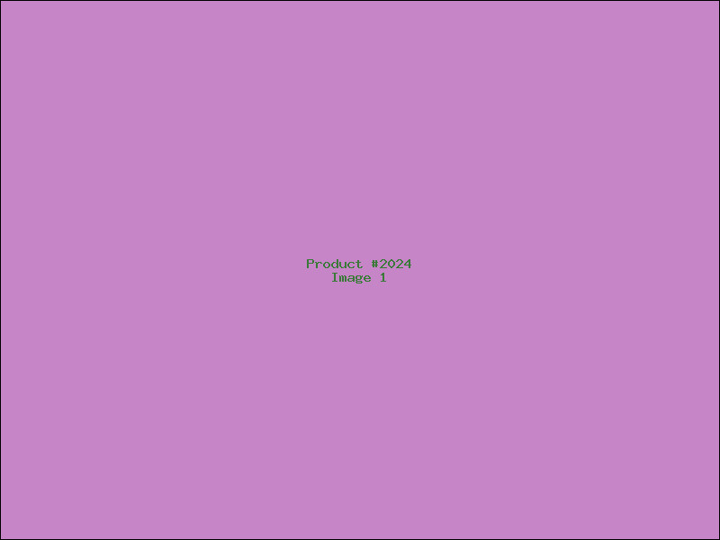 Example Product 2024