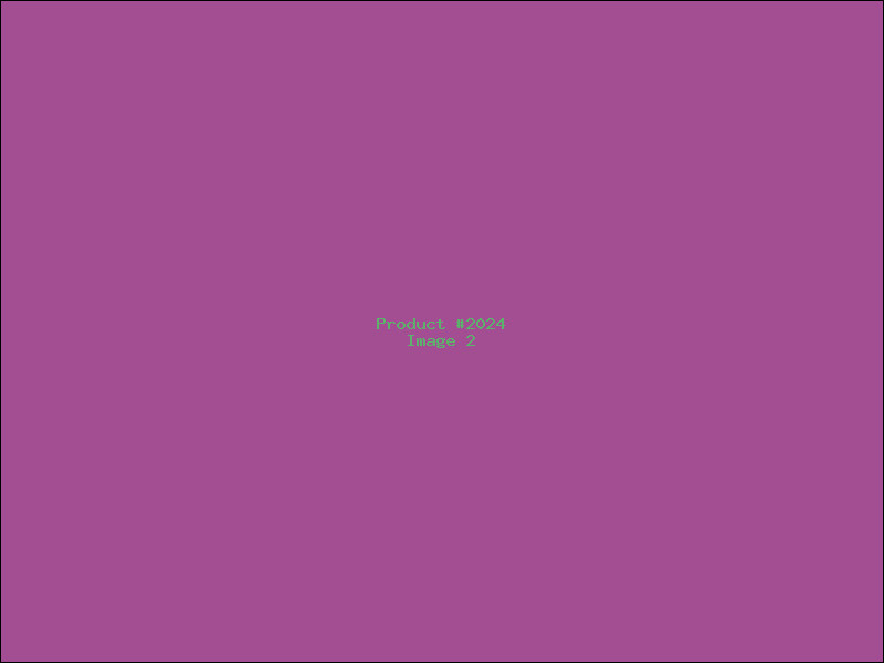 Example Product 2024 - Image 2