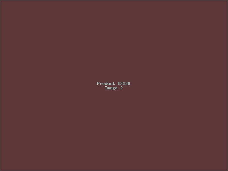 Example Product 2026 - Image 2