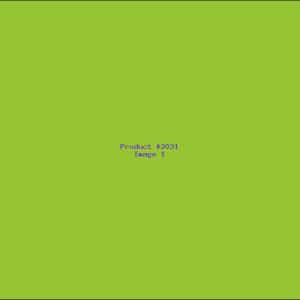 Example Product 2031