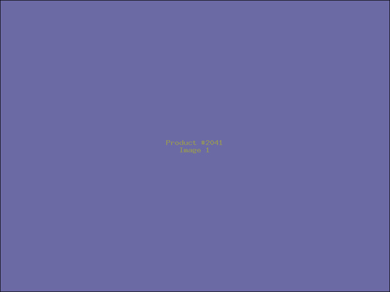 Example Product 2041