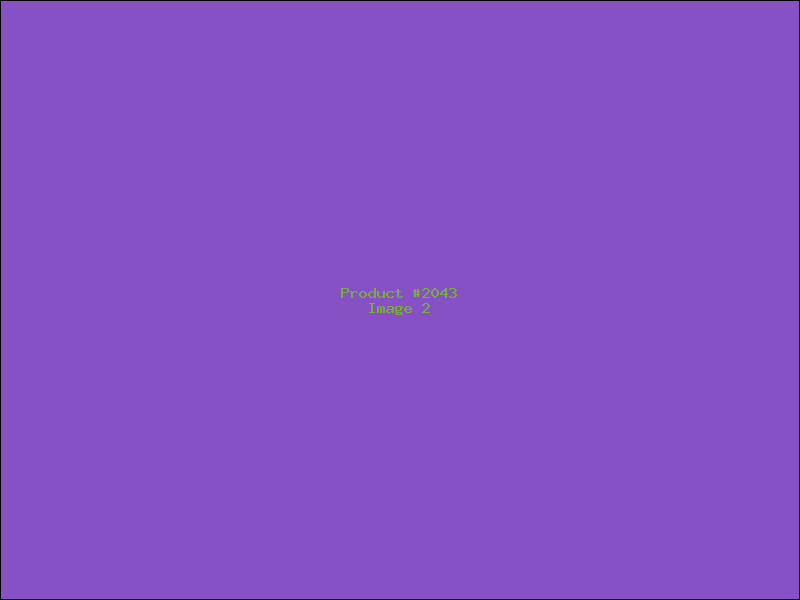 Example Product 2043 - Image 2