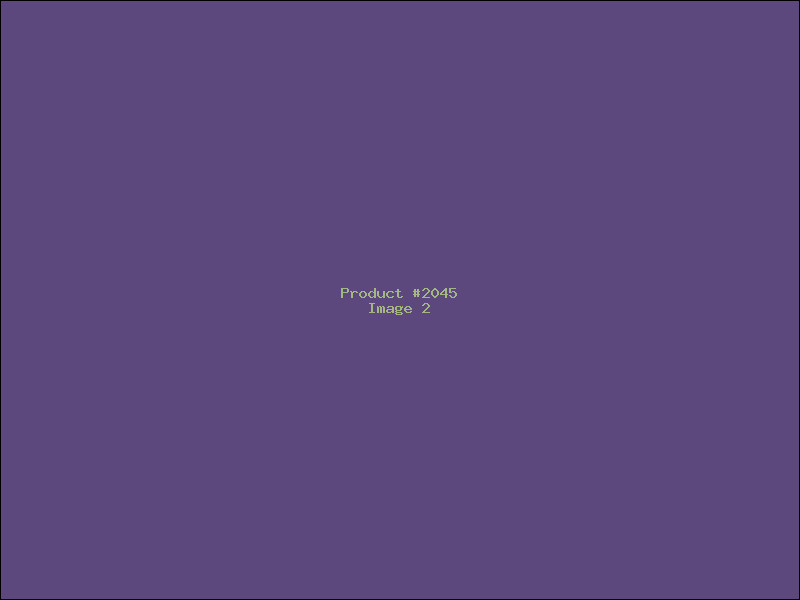 Example Product 2045 - Image 2