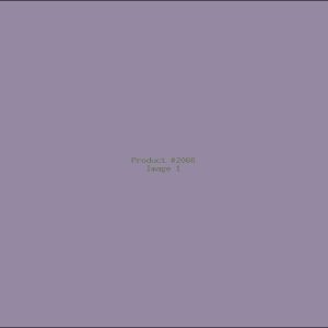 Example Product 2066