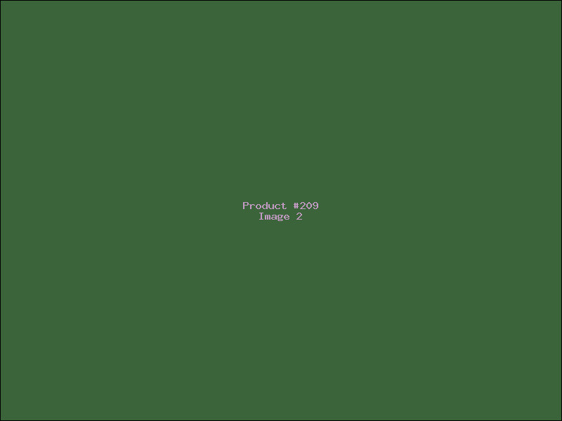 Example Product 209 - Image 2