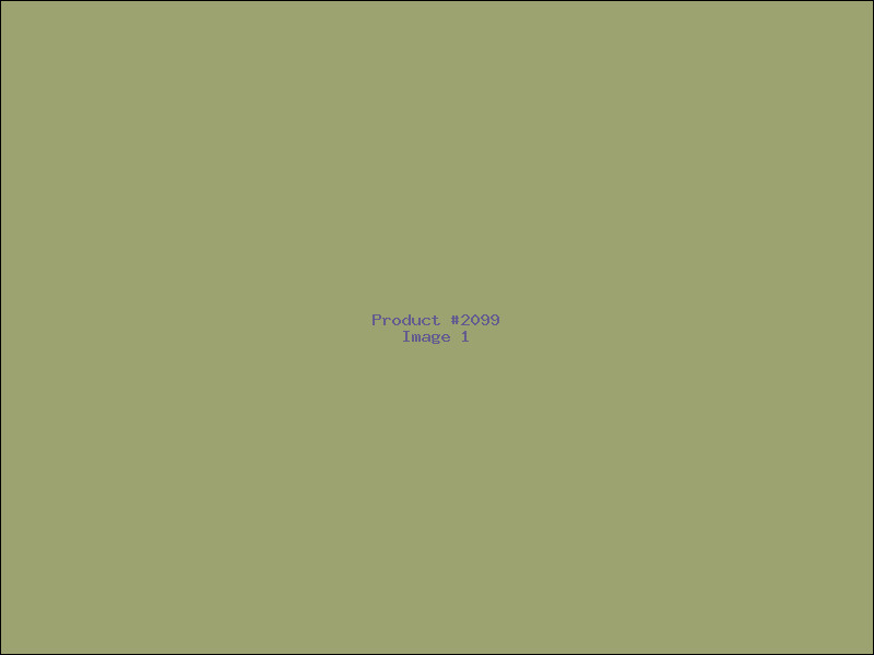 Example Product 2099