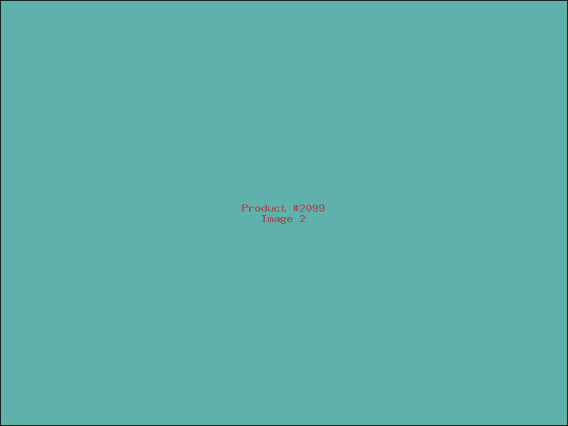 Example Product 2099 - Image 2