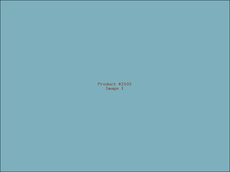 Example Product 2102