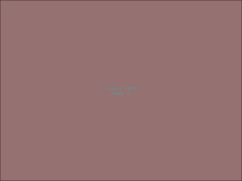 Example Product 2103
