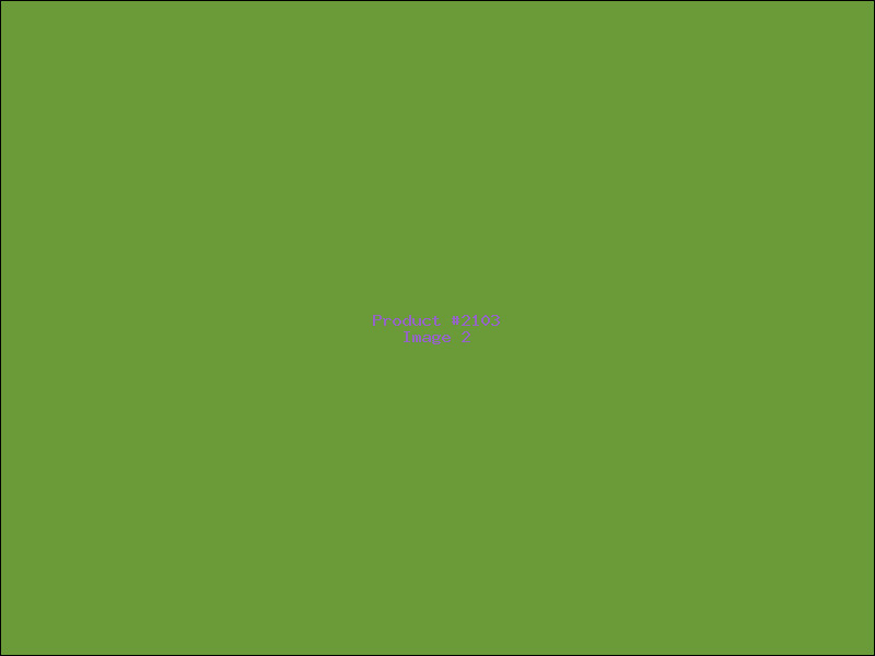 Example Product 2103 - Image 2