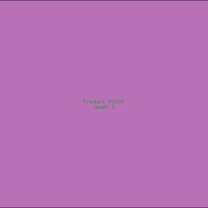 Example Product 2104