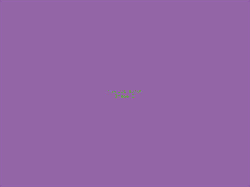 Example Product 2106 - Image 2