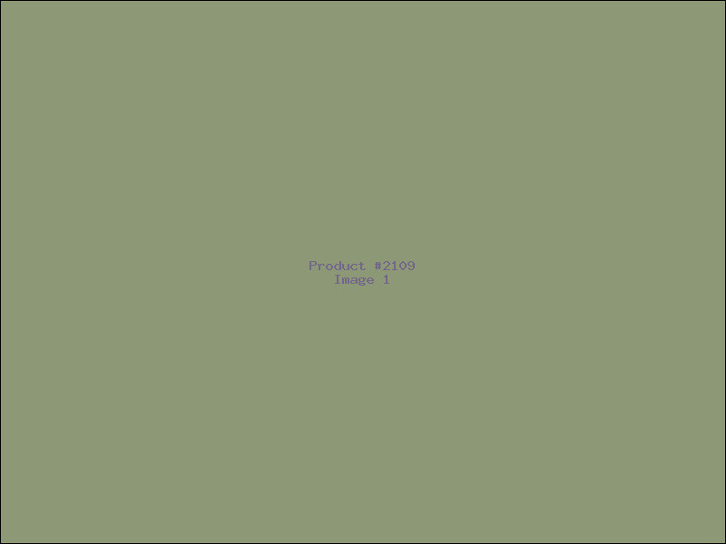 Example Product 2109