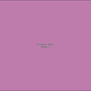 Example Product 211