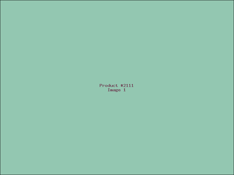 Example Product 2111